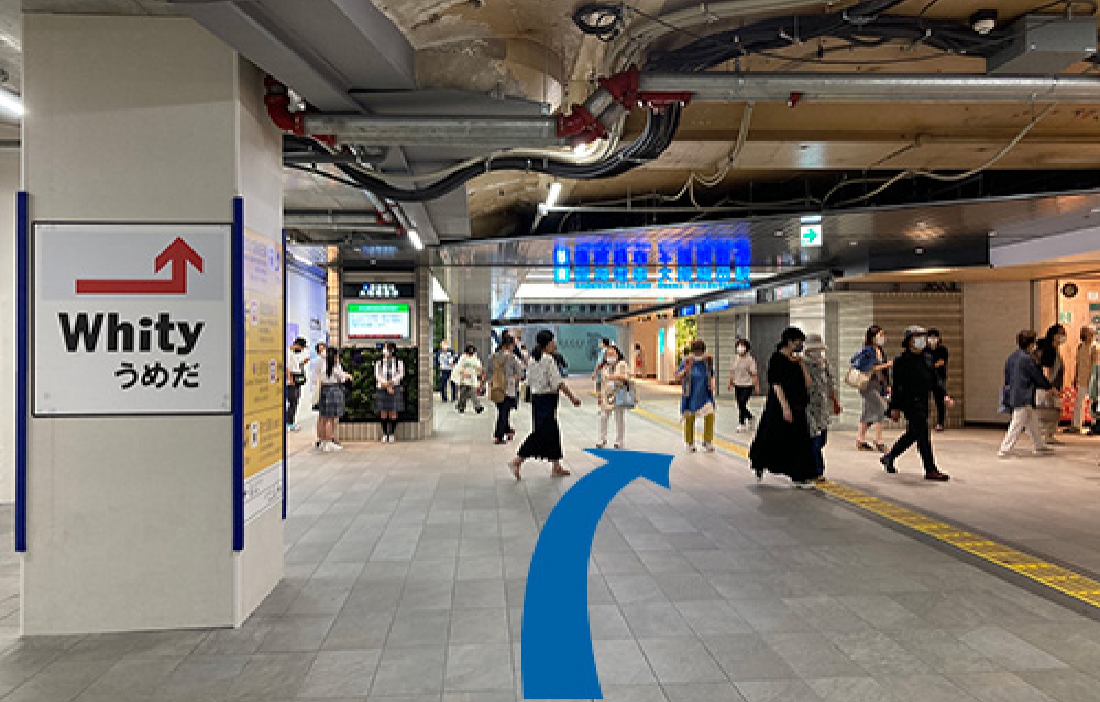 「南改札駅」より出ていただき阪神百貨店を右手にまっすぐ進んでください